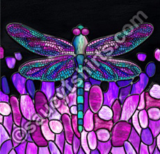 dragonfly illustration by Chris Petsos