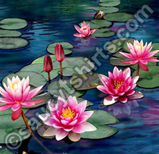 waterlily illustration by Chris Petsos