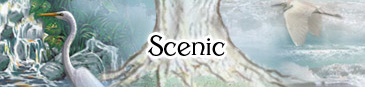 linkn to nature landscapes